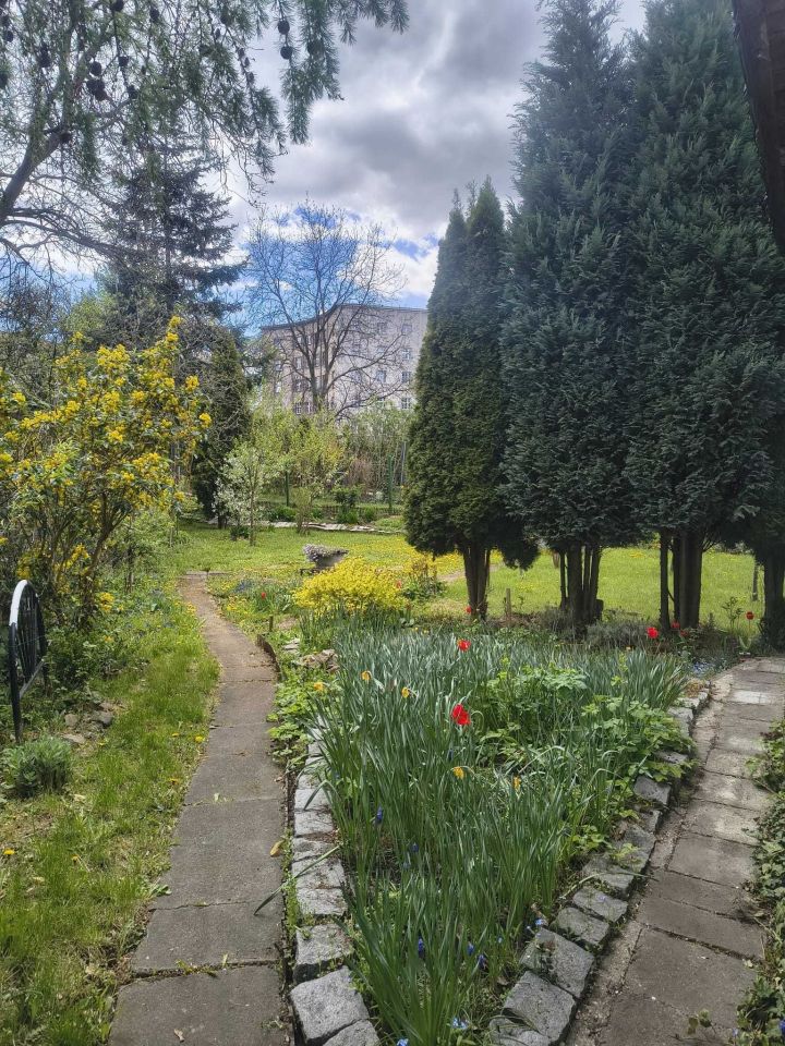 Działka rod Gliwice Śródmieście. Zdjęcie 8