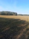 Działka rolna Lisowice-Kolonia. Zdjęcie 1