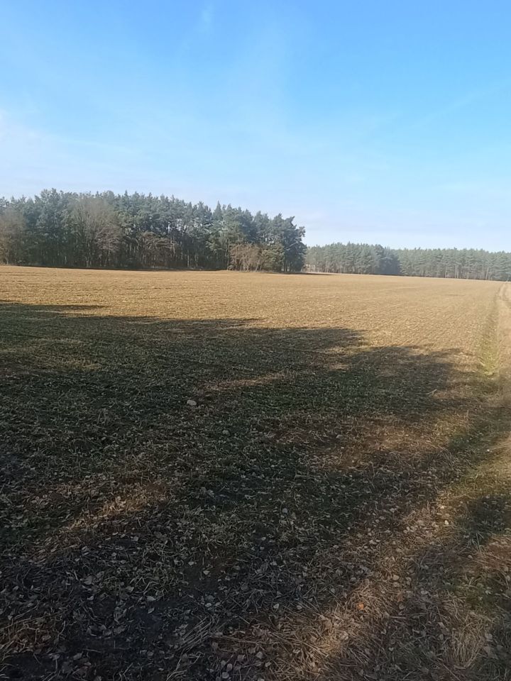 Działka rolna Lisowice-Kolonia. Zdjęcie 2