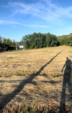 Działka budowlana Chronów Chronów Dolny. Zdjęcie 3
