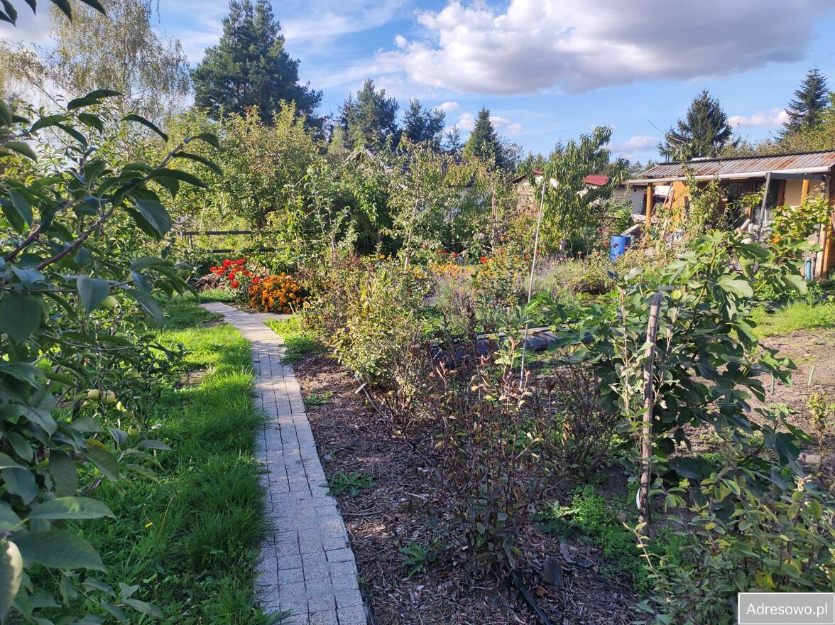 Działka rod Warszawa Włochy, ul. Paluch