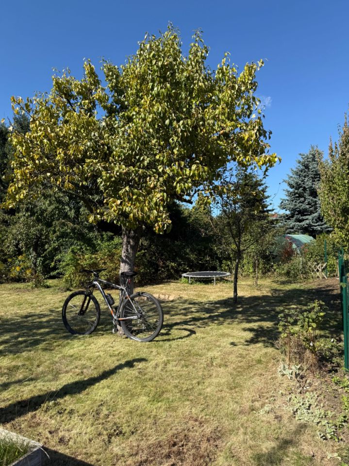 Działka rod Legnica. Zdjęcie 5