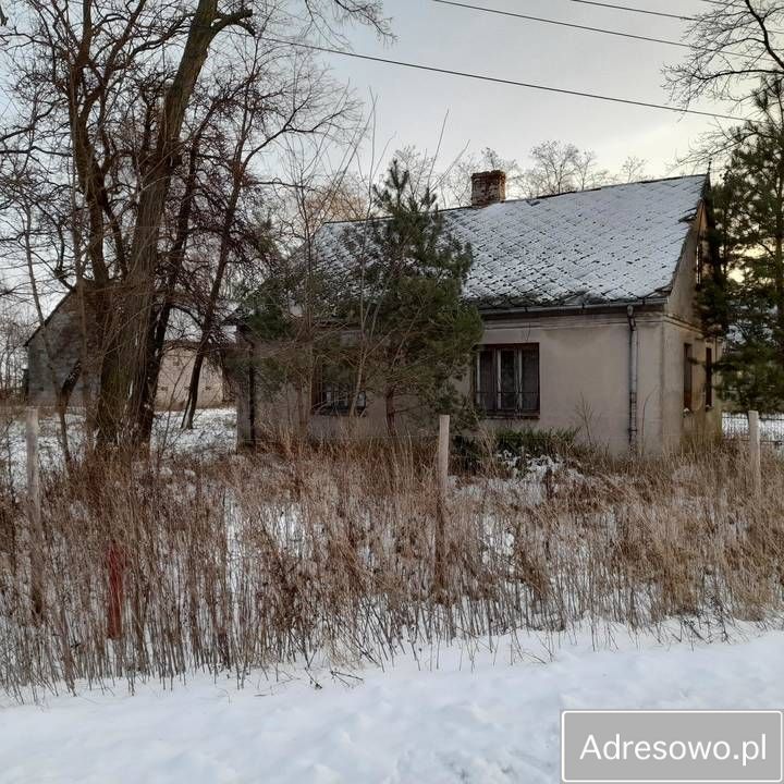 Działka siedliskowa Stare Święcice Nowe Święcice. Zdjęcie 8