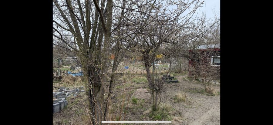 Działka rod Gdańsk Lipce. Zdjęcie 6