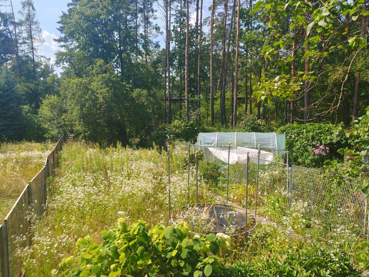 dom szeregowy, 5 pokoi Stalowa Wola, ul. Stanisława Wyspiańskiego. Zdjęcie 5