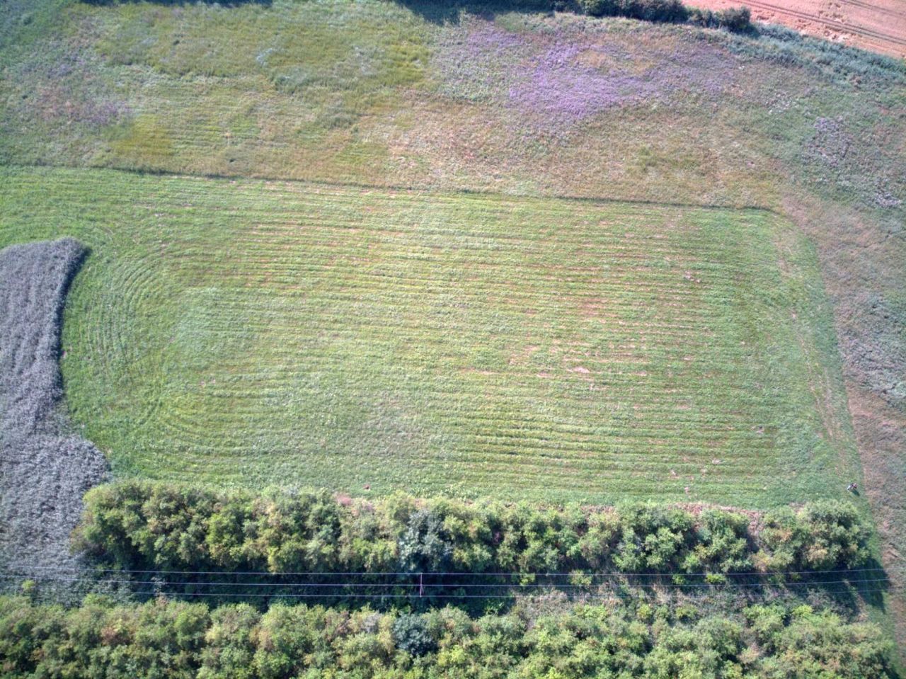 Działka rekreacyjna Łopatki. Zdjęcie 2