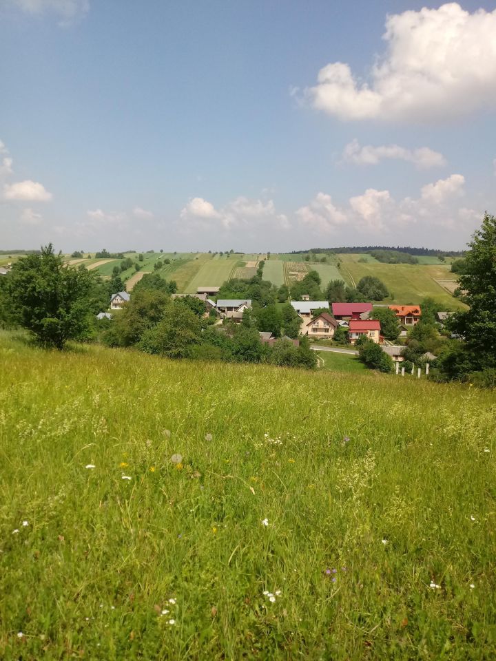 Działka rolno-budowlana Sochy Góra. Zdjęcie 6