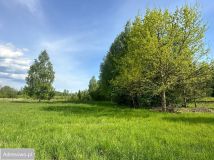 Działka rolna Dubiny. Zdjęcie 2