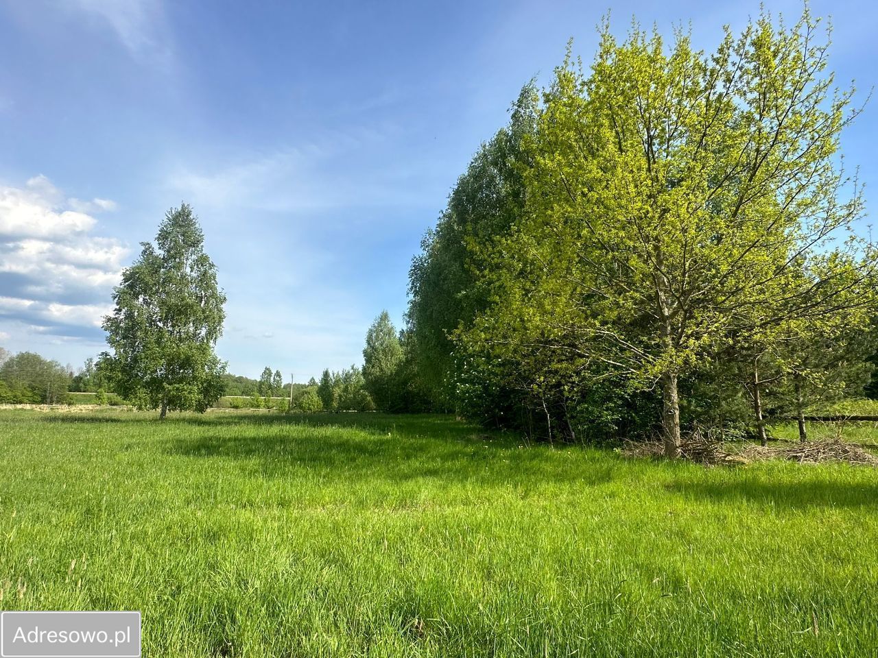Działka rolna Dubiny. Zdjęcie 3