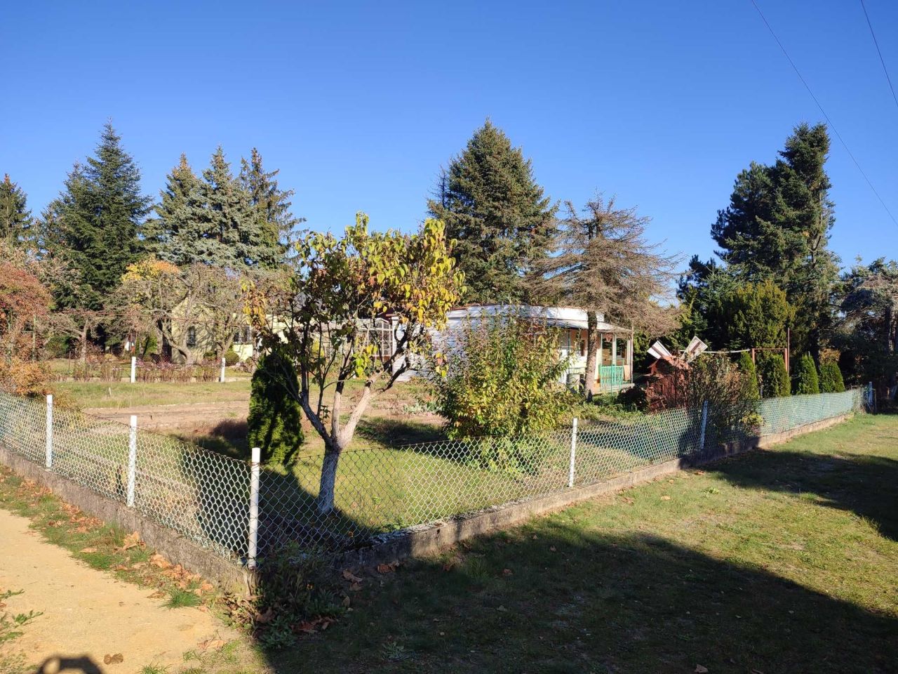 Działka rod Romanów. Zdjęcie 2