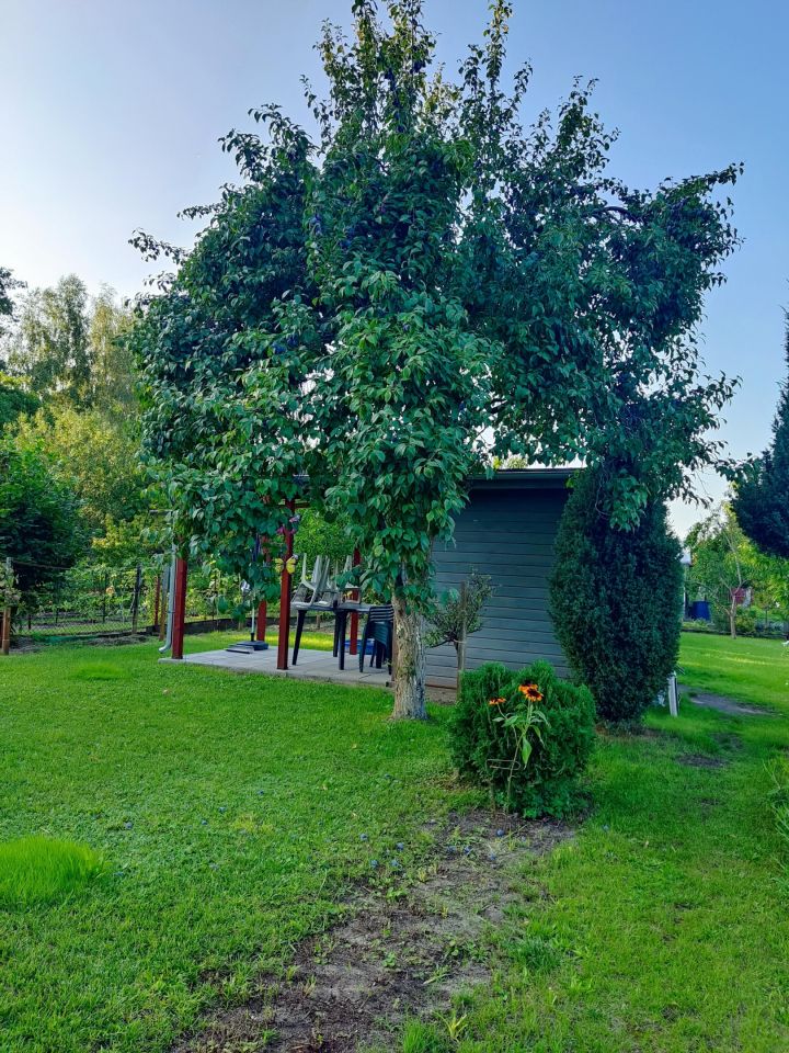 Działka rod Nowa Sól Stare Żabno, ul. Śląska. Zdjęcie 3