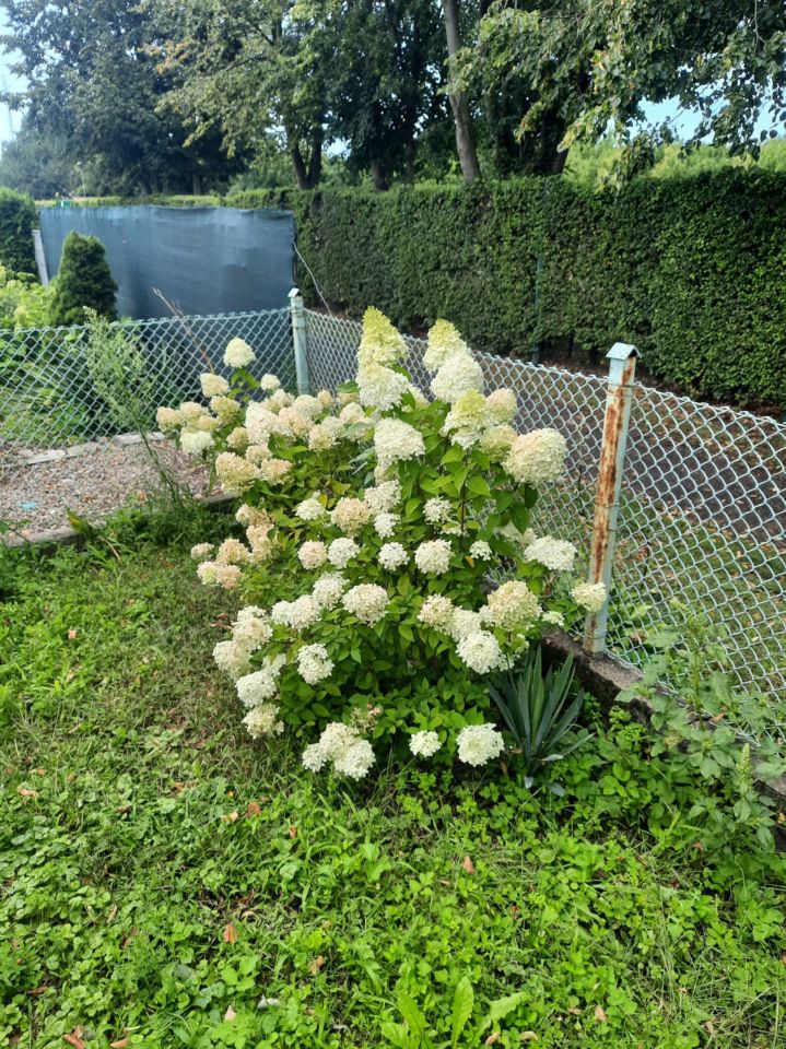 Działka rod Grudziądz. Zdjęcie 2