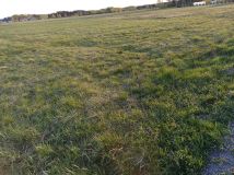 Działka budowlana Przyszów Zapuście, ul. Słonecznaa. Zdjęcie 2