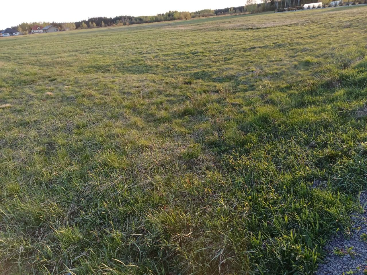 Działka budowlana Przyszów Zapuście, ul. Słonecznaa. Zdjęcie 3