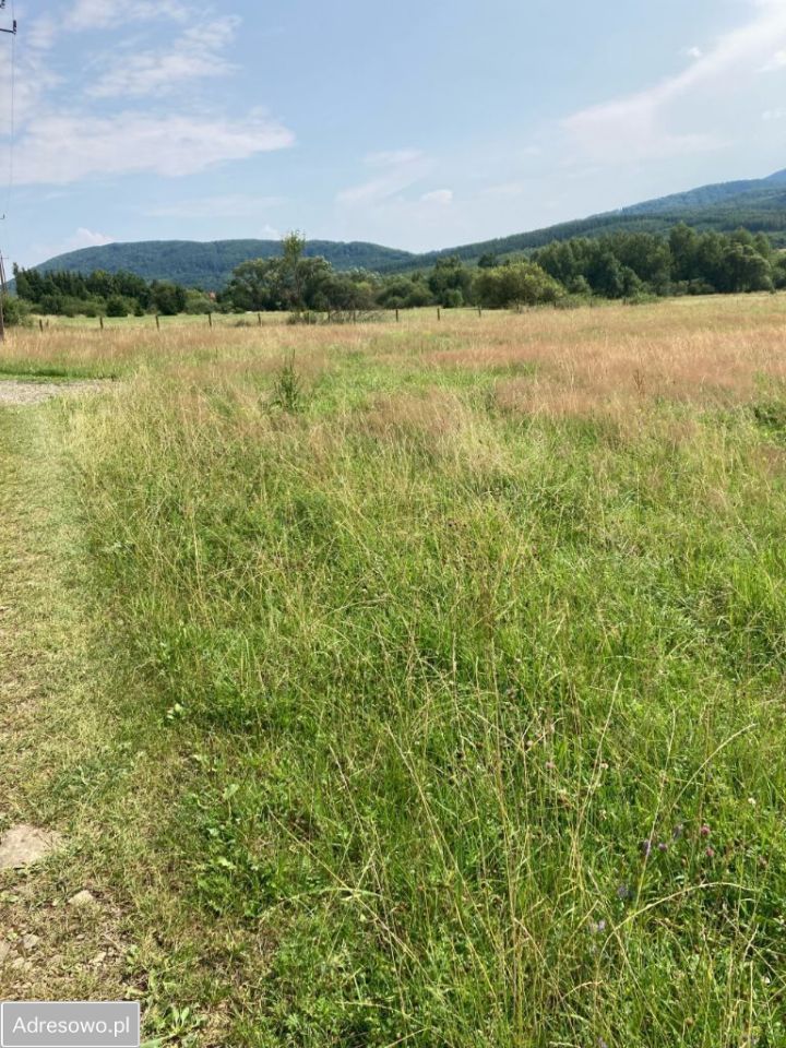 Działka budowlana Wysowa-Zdrój. Zdjęcie 2