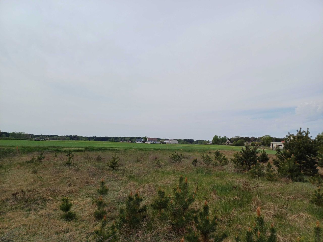 Działka budowlana Brzozowe Błota