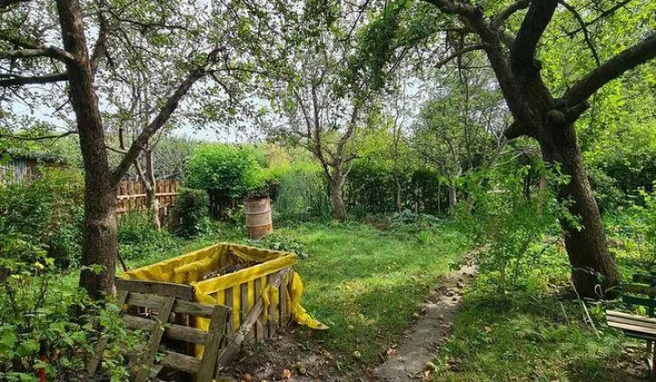 Działka rod Malbork