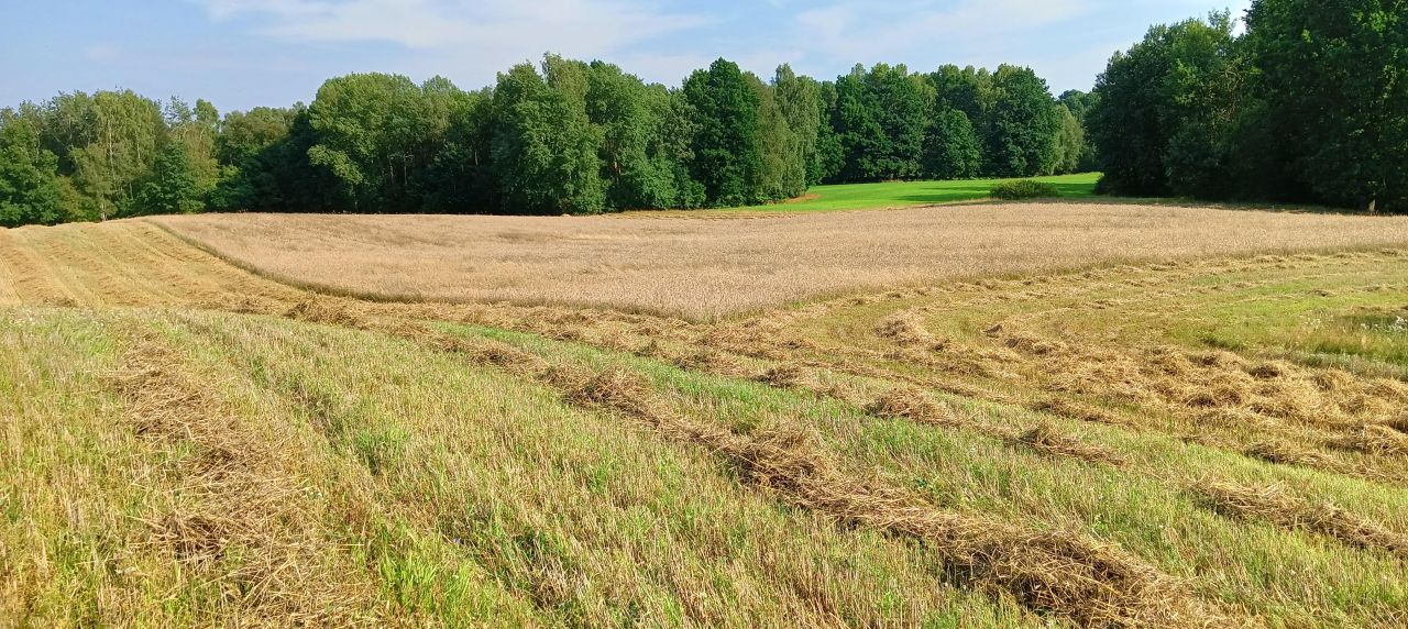 Działka rolna Chmielno Babino. Zdjęcie 3