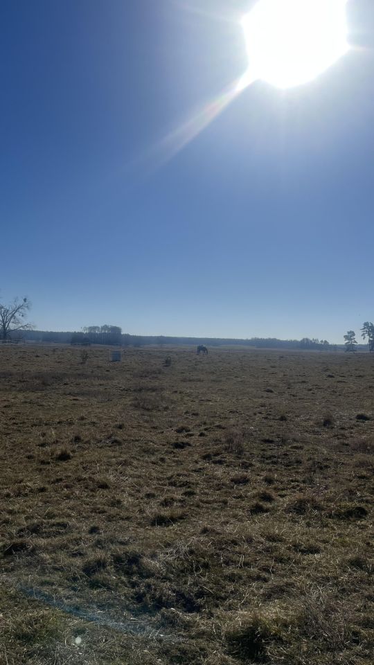 Działka budowlana Jagodne Wielkie. Zdjęcie 3