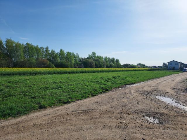 Działka budowlana Dawidy Bankowe, ul. Boryny. Zdjęcie 1