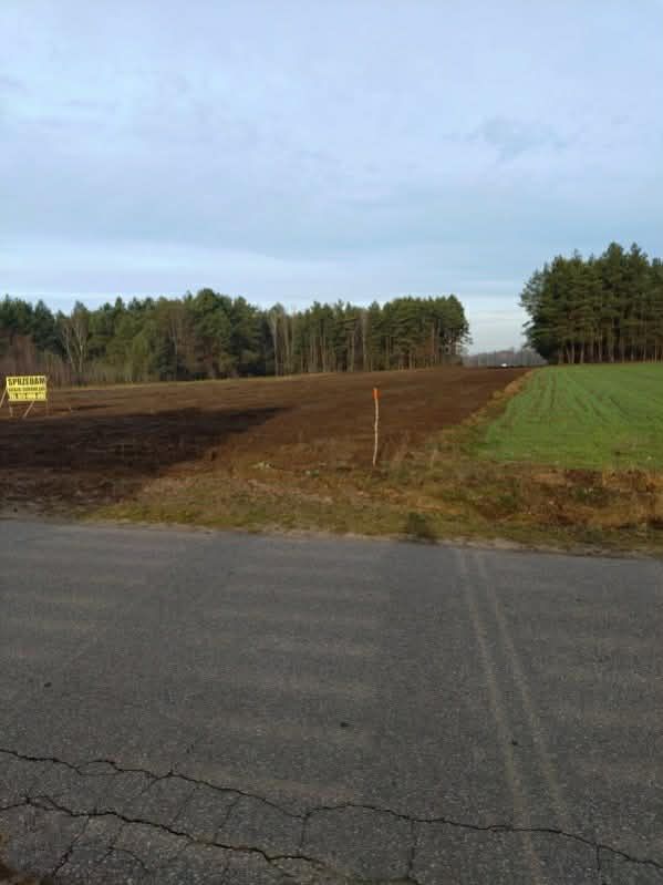 Działka budowlana Blochy, prosta. Zdjęcie 4