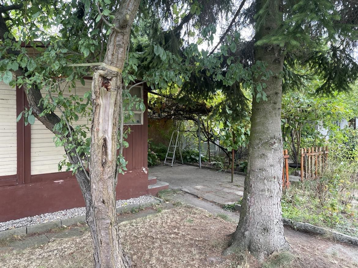 Działka rod Łódź Górna, ul. Pustynna. Zdjęcie 9