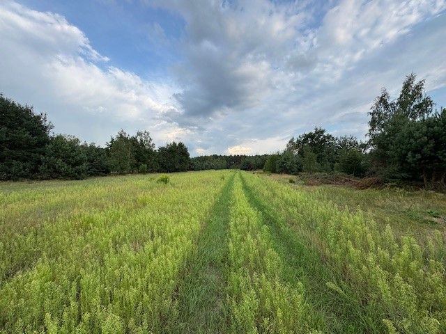 Działka rolno-budowlana Kuligów, ul. Dębinowa. Zdjęcie 13