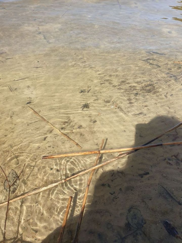 Działka rekreacyjna Wierzchowo. Zdjęcie 3