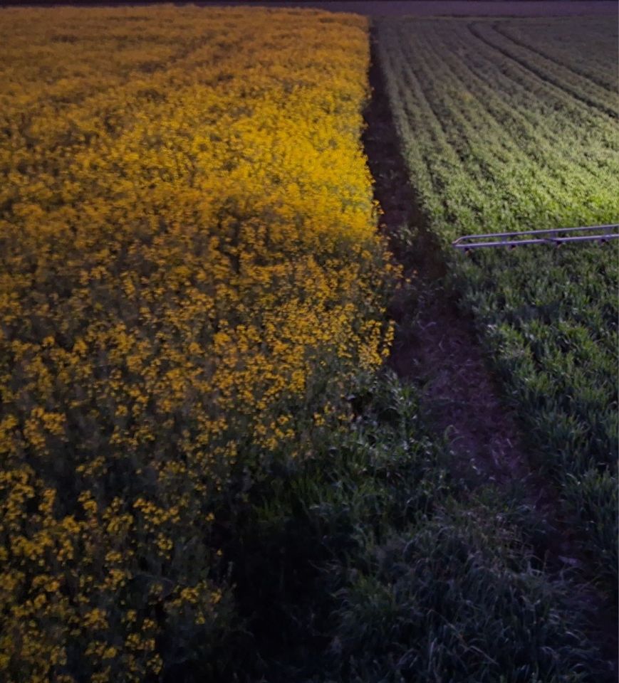 Działka rolno-budowlana Nowe Gierałty. Zdjęcie 6