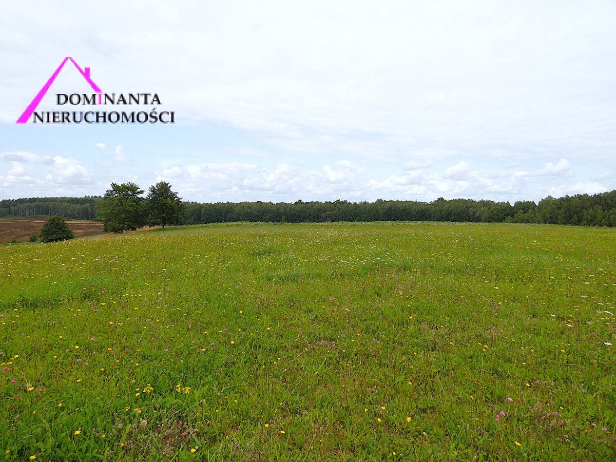 Działka rolna Gronowo. Zdjęcie 10