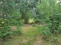 dom wolnostojący Czarna. Zdjęcie 3