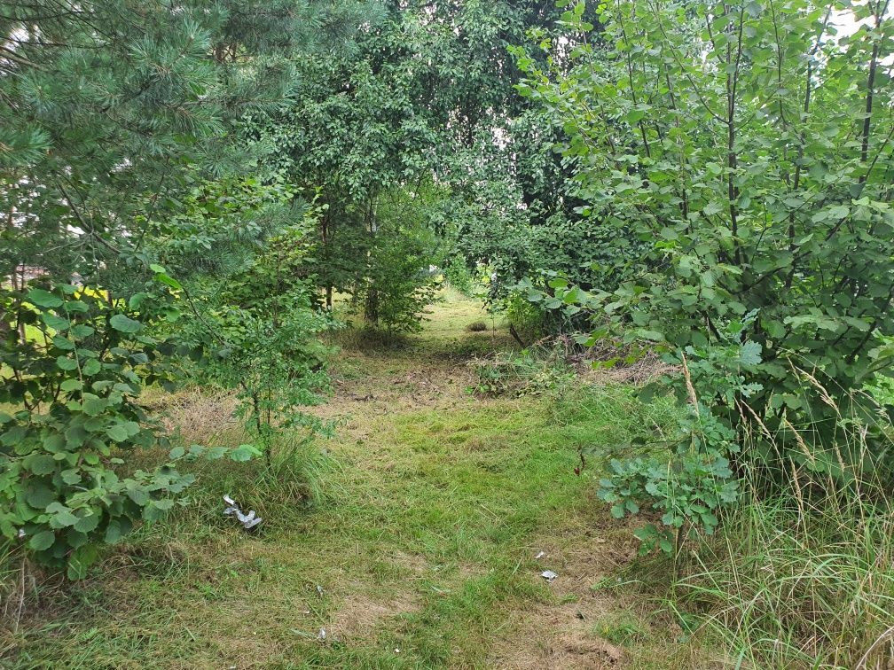 dom wolnostojący Czarna. Zdjęcie 4