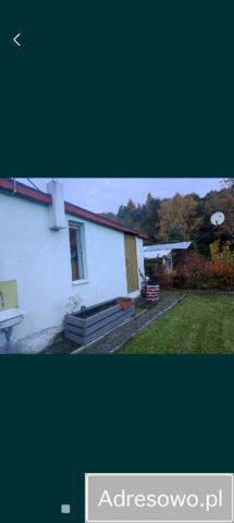 Działka rod Wodzisław Śląski, ul. Bogumińska. Zdjęcie 1