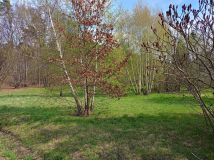 Działka budowlana Szymocice, ul. Gliwicka. Zdjęcie 1