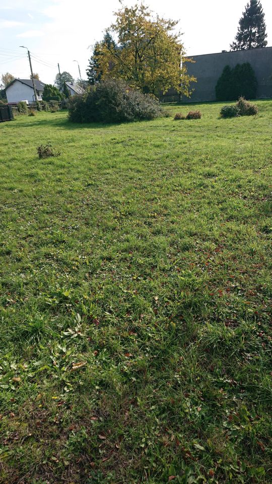 Działka rolno-budowlana Imielin, ul. Wandy. Zdjęcie 2