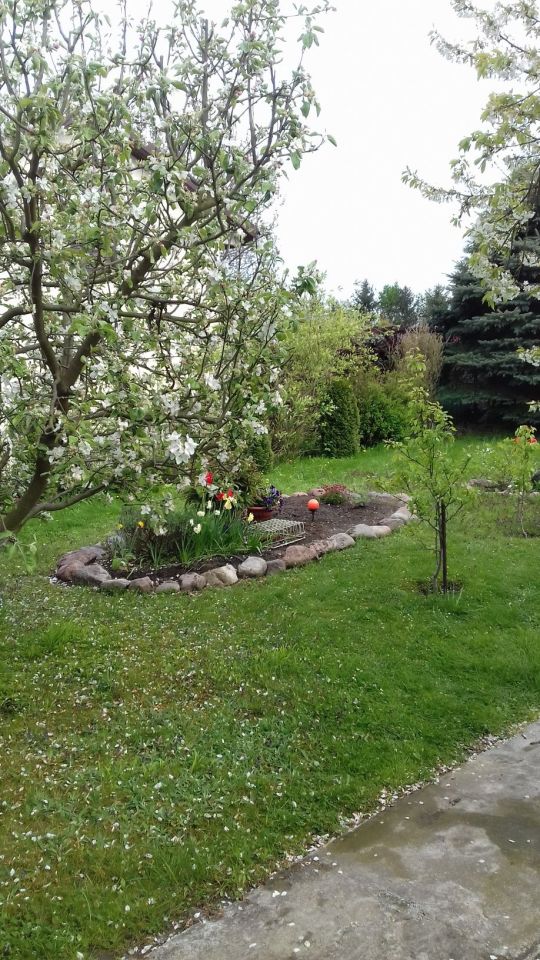 Działka rod Grudziądz. Zdjęcie 7