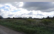 Działka rolna Kuflew. Zdjęcie 1