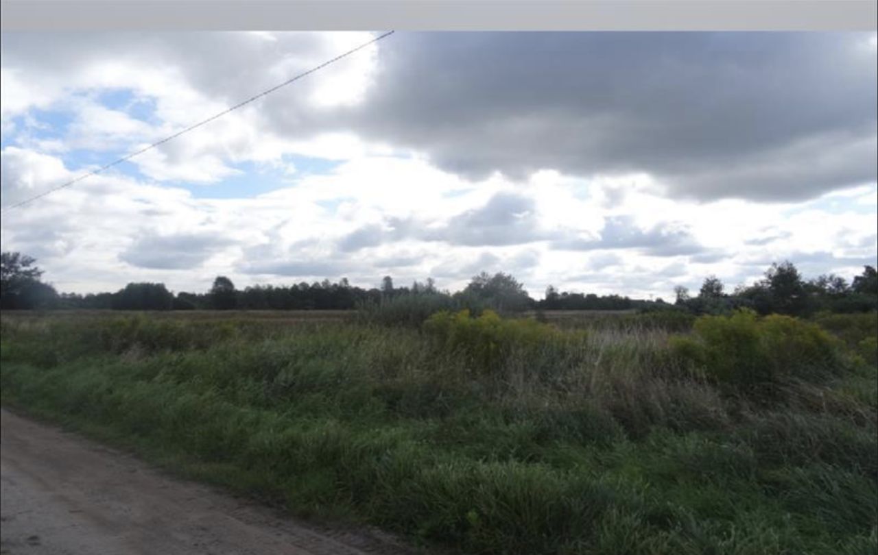 Działka rolna Kuflew. Zdjęcie 2