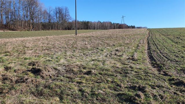 Działka budowlana Zaspy Małe. Zdjęcie 11