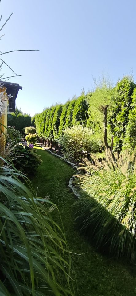 Działka rod Wodzisław Śląski, ul. Marklowicka. Zdjęcie 3