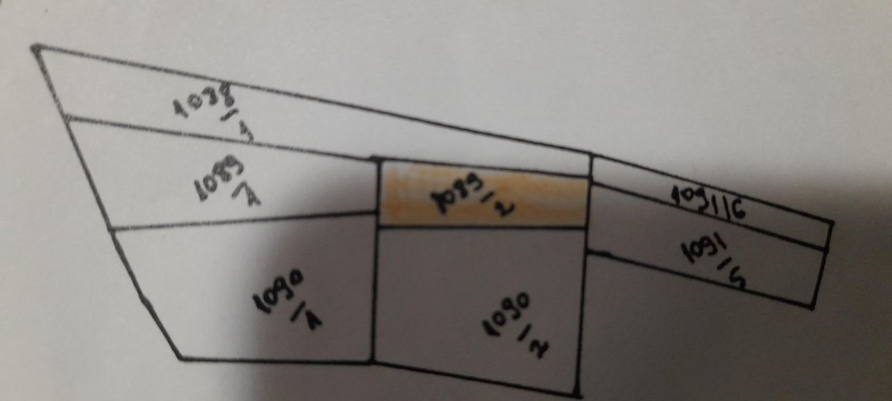 Działka leśna Rycerka Dolna. Zdjęcie 4