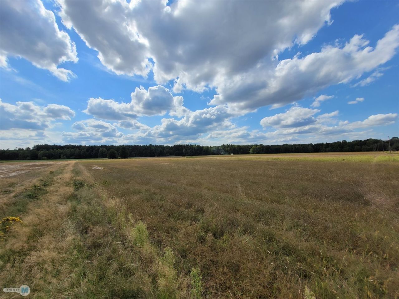 Działka rekreacyjna Stanowiska. Zdjęcie 10