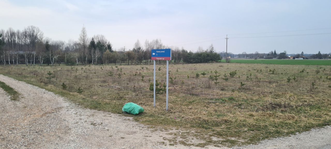 Działka budowlana Pogorzałe Ługi. Zdjęcie 2