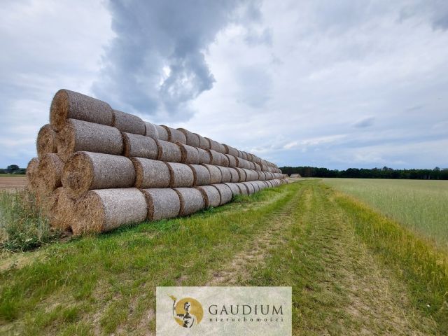 Działka Karszyn. Zdjęcie 20