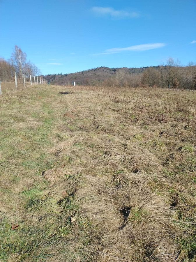 Działka rolna Ruda Kameralna. Zdjęcie 2