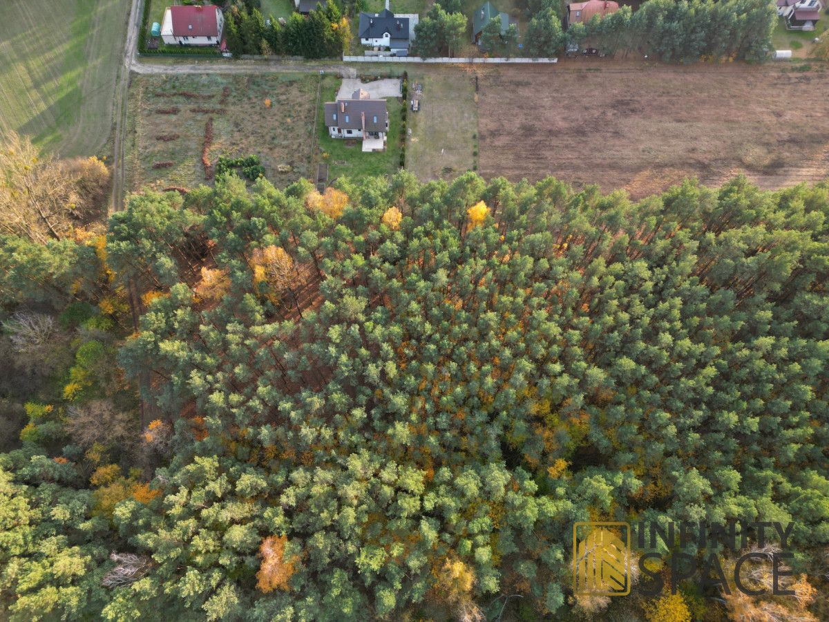 Działka rolna Nowe Miasto, ul. Tatarska. Zdjęcie 4