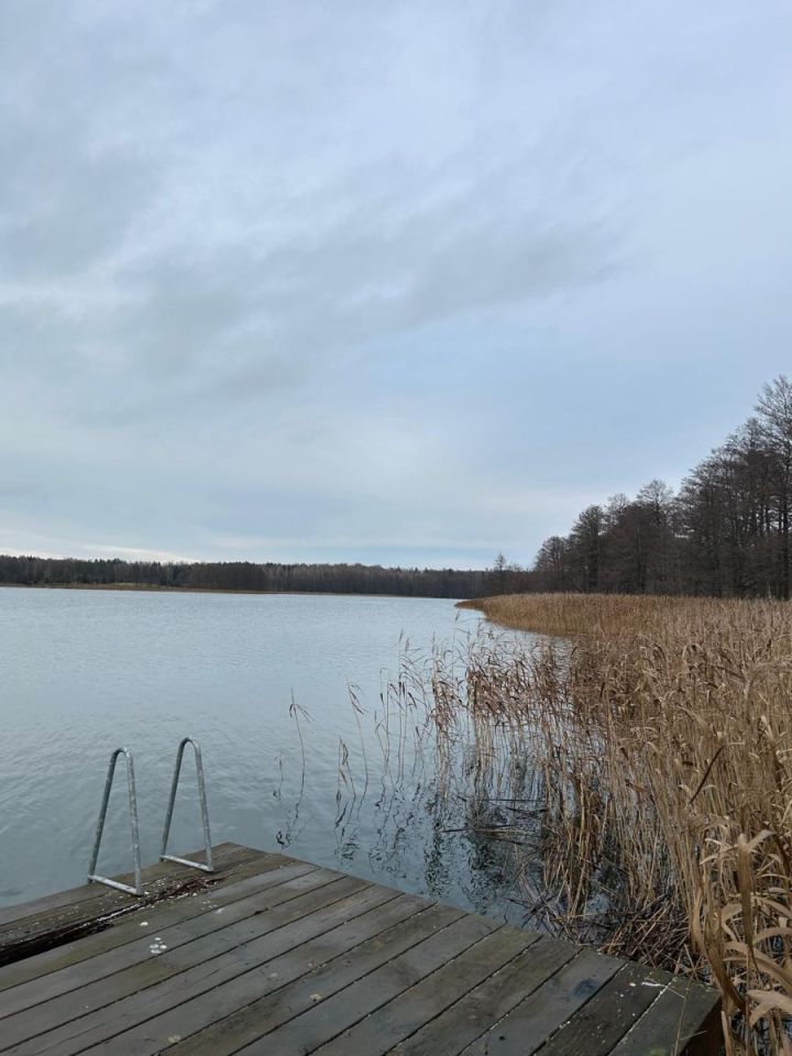 Działka rekreacyjna Rogale. Zdjęcie 5