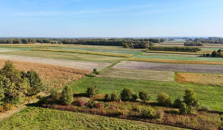 Działka rolna Gwizdów
