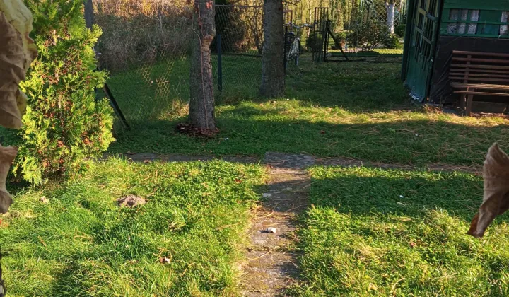 Działka rod Wieluń, ul. Polskiej Organizacji Wojskowej