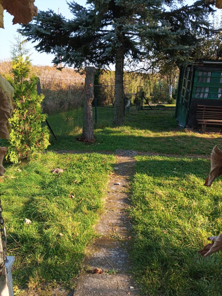 Działka rod Wieluń, ul. Polskiej Organizacji Wojskowej